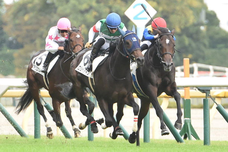 新馬戦を制したアマキヒ（右）