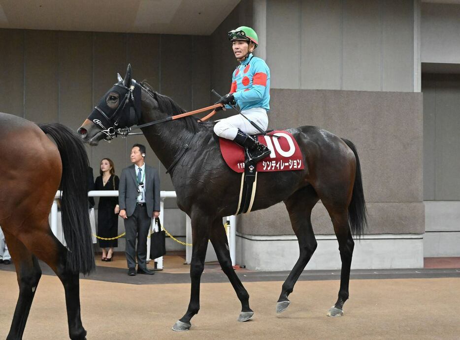 府中牝馬Sで２着だったシンティレーション（撮影・奈良武）