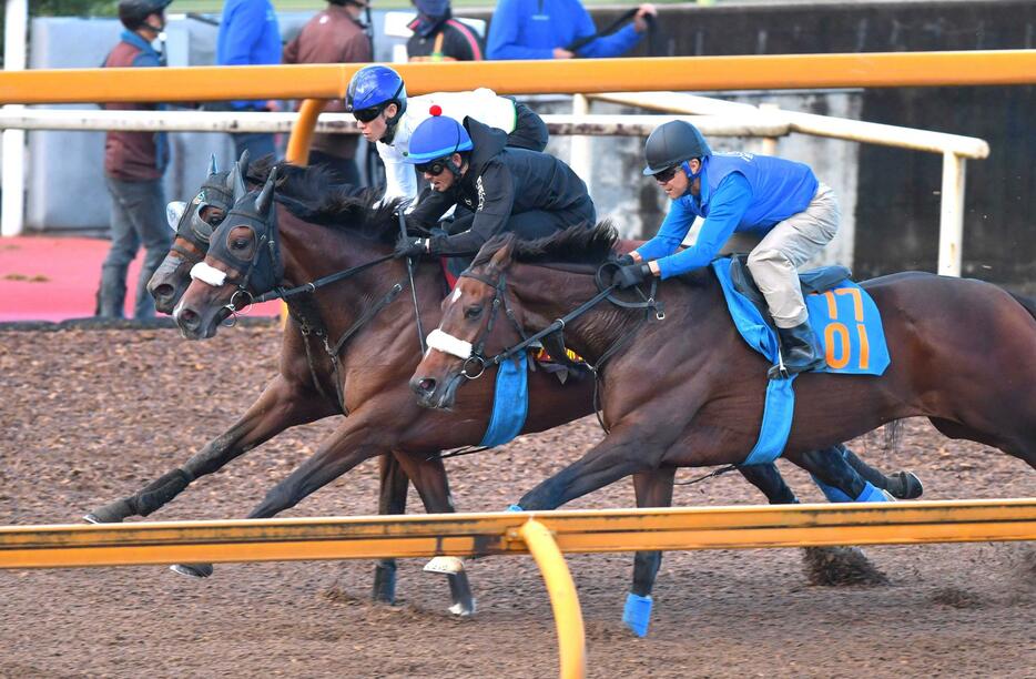 　栗東ＣＷで併せて追い切るステレンボッシュ（中央）とミアネーロ（奥）＝撮影・石湯恒介