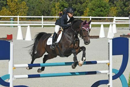 馬術少年二段階障害飛越で初優勝した佐賀県代表の服部生（飛鳥未来高）・コレクター＝兵庫県三木市の三木ホースランドパーク