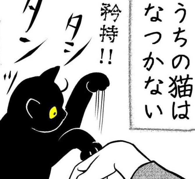 触らせません!!撫でようとすると「タシタシ」制裁される！これが、猫の矜持か!?