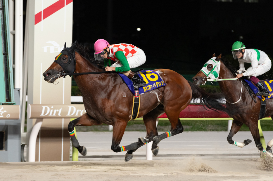 マイルグランプリ・スマイルウィと矢野貴之騎手 (C)東京シティ競馬