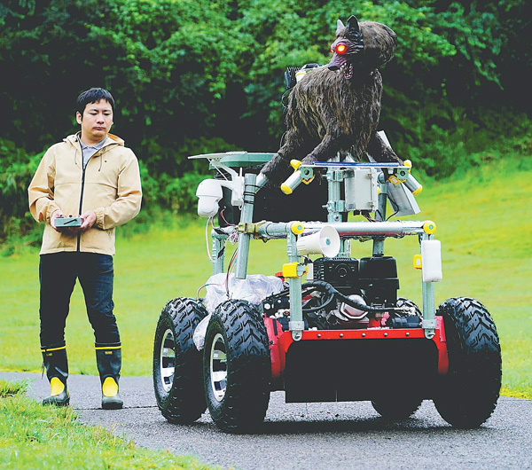 自動運転技術を搭載したオオカミ型ロボット。安彦准教授が無線操縦で実演した（福井県南越前町で）