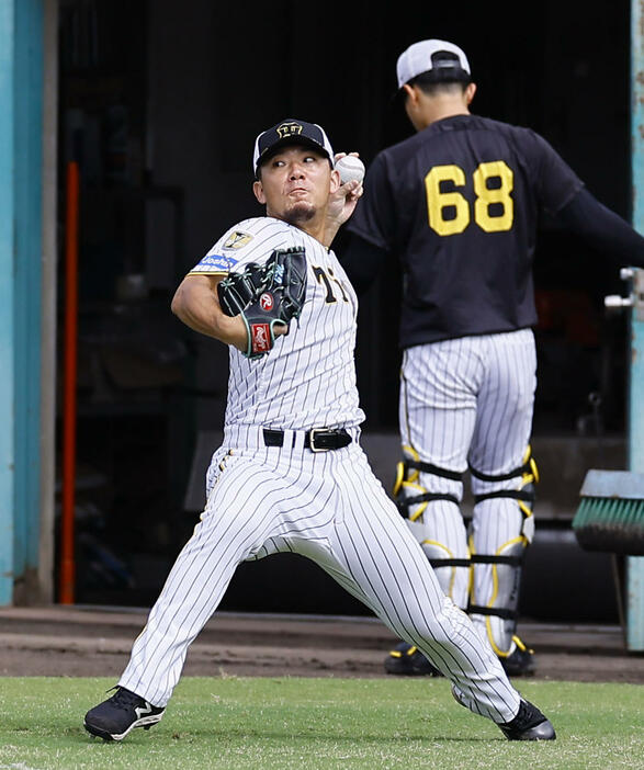 キャッチボールする阪神伊藤将（撮影・藤尾明華）