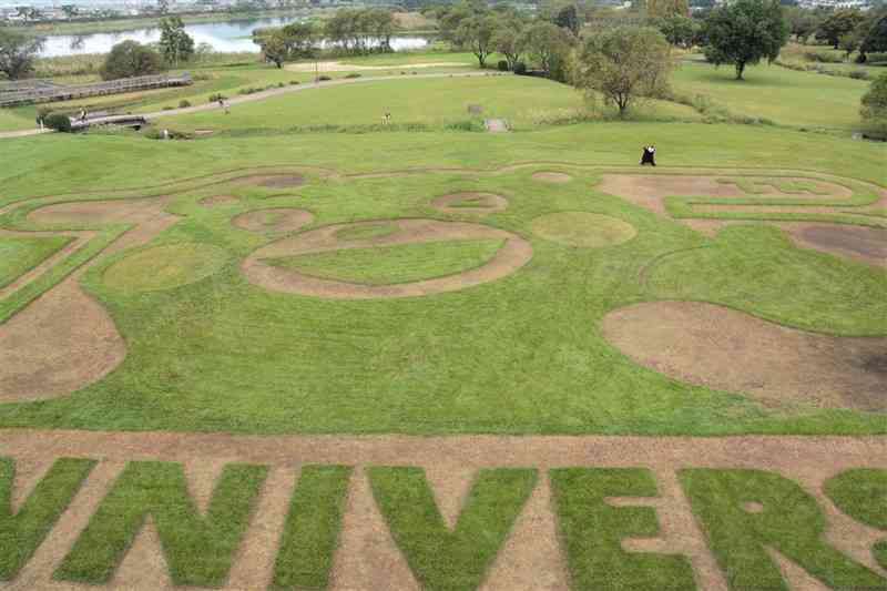 水前寺江津湖公園広木地区の緑地にお目見えしたくまモンの地上絵＝24日、熊本市東区