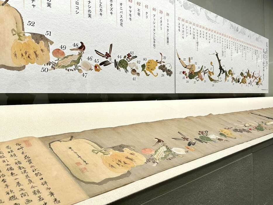 展示風景より、伊藤若冲《果蔬図巻（かそずかん）》（1790年以前）