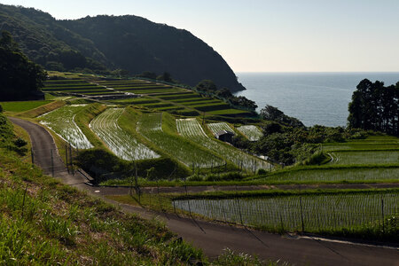 小浜の市街から北へいった内外海地区の棚田。百人一首にも、ここから見える海の美しさは詠まれました。