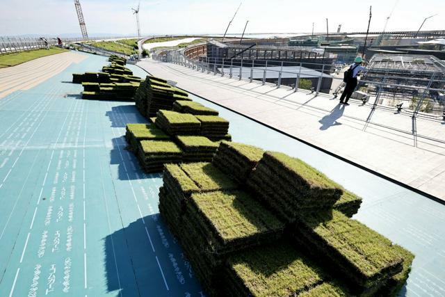 公開された大屋根リングの空中歩廊では、芝生を張る作業が続いていた=2024年10月11日午後3時11分、大阪市此花区の夢洲、水野義則撮影