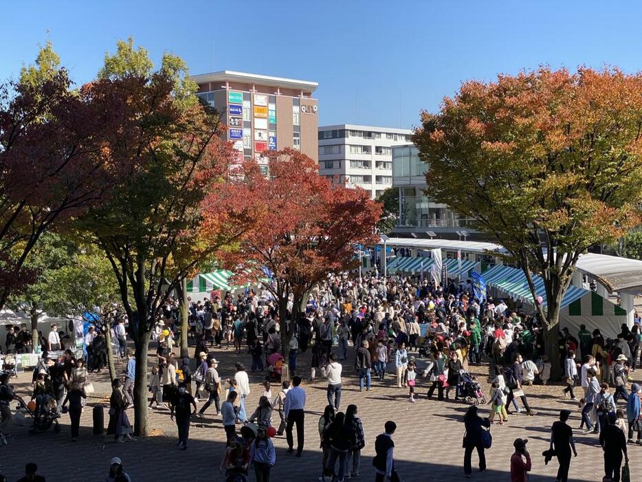 これまでのイベントの様子