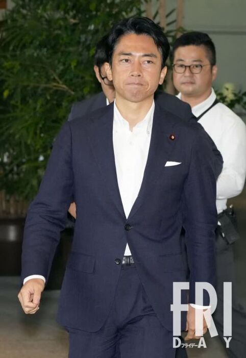 選挙対策委員長に大抜擢された小泉進次郎氏