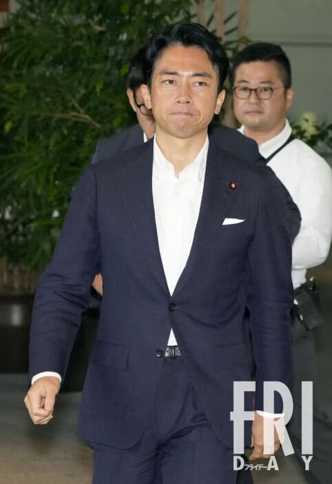 選挙対策委員長に大抜擢された小泉進次郎氏