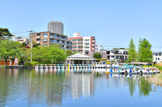 ［写真1］石神井公園(東京都練馬区) 出所：PIXTA