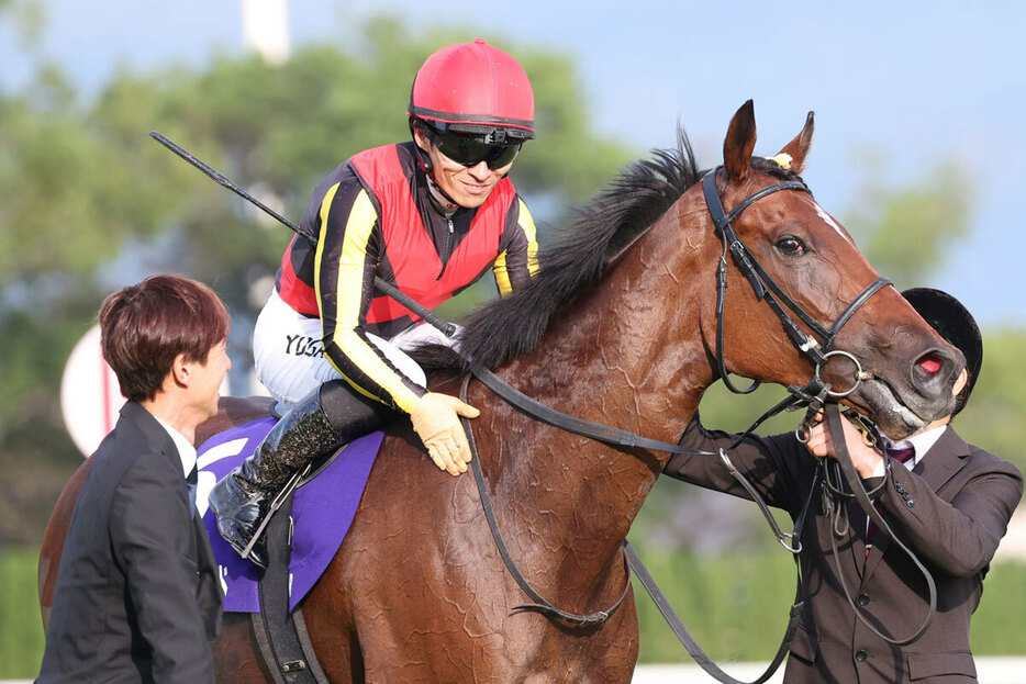 リバティアイランドは香港カップと香港ヴァーズに登録