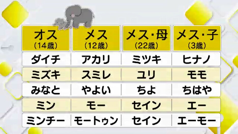 動物園側が選んだ10の候補（２）