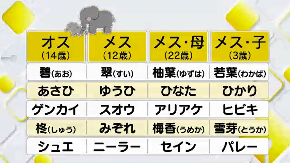 動物園側が選んだ10の候補（１）