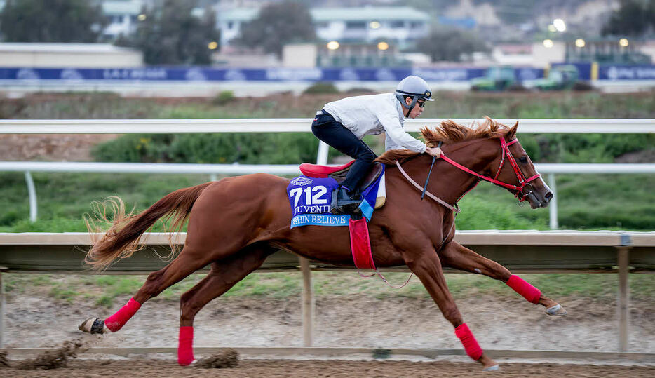 29日朝のシンビリーブと武豊（C）Scott Serio／Eclipse Sportswire／Breeders Cup