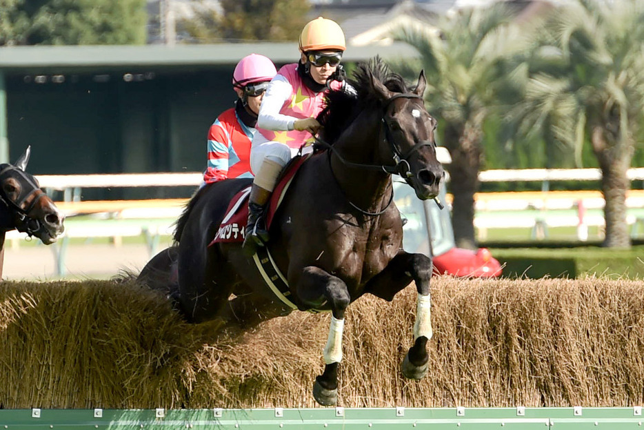 ジューンベロシティが人気に応えて快勝した