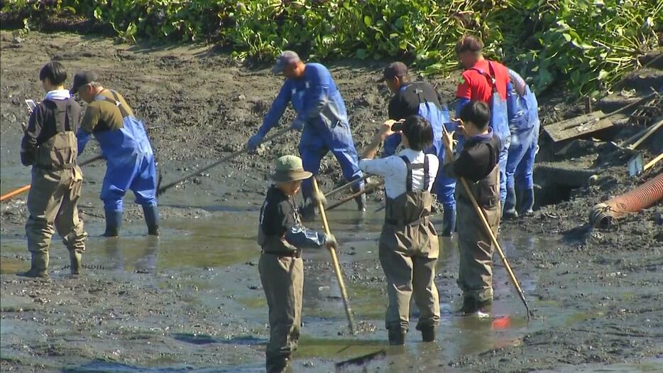 地元の漁業関係者や淡路県民局の職員が参加