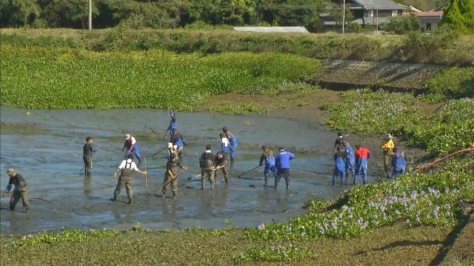 「大田池」で水を抜いた池の底からたまった泥をかき出す「かいぼり」実施