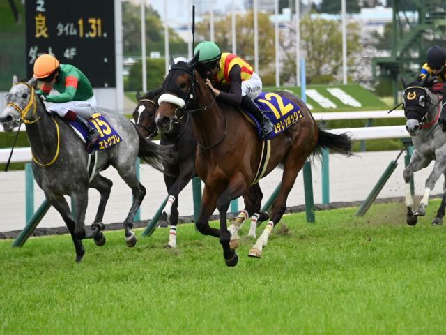 桜花賞馬ステレンボッシュの二冠なるか(c)netkeiba