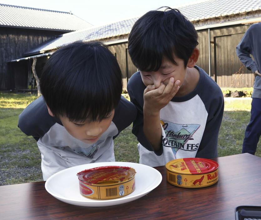 シュールストレミングのにおいをかぐ兄弟＝13日午後、三重県鳥羽市の海の博物館