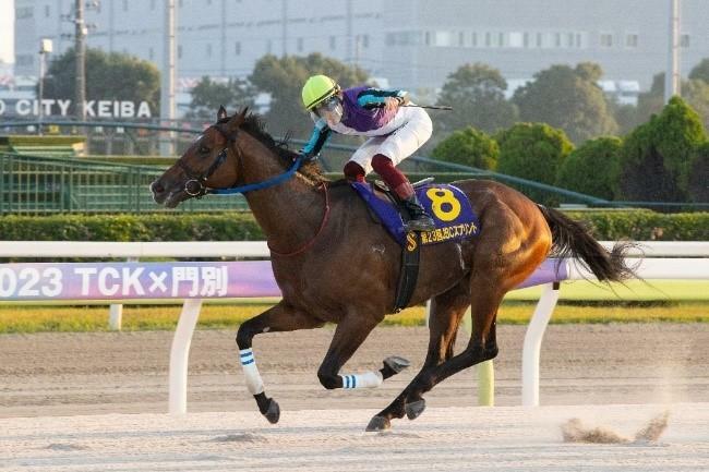 「第7回地方競馬ファン投票」で1位に輝いたイグナイター（NAR提供）