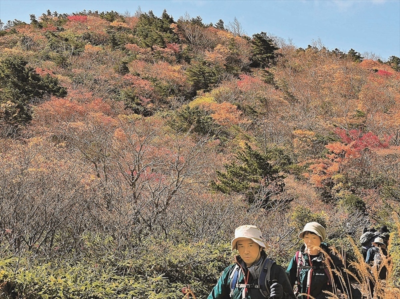 山肌を赤や黄色で染めている安達太良山の紅葉＝２０日午後