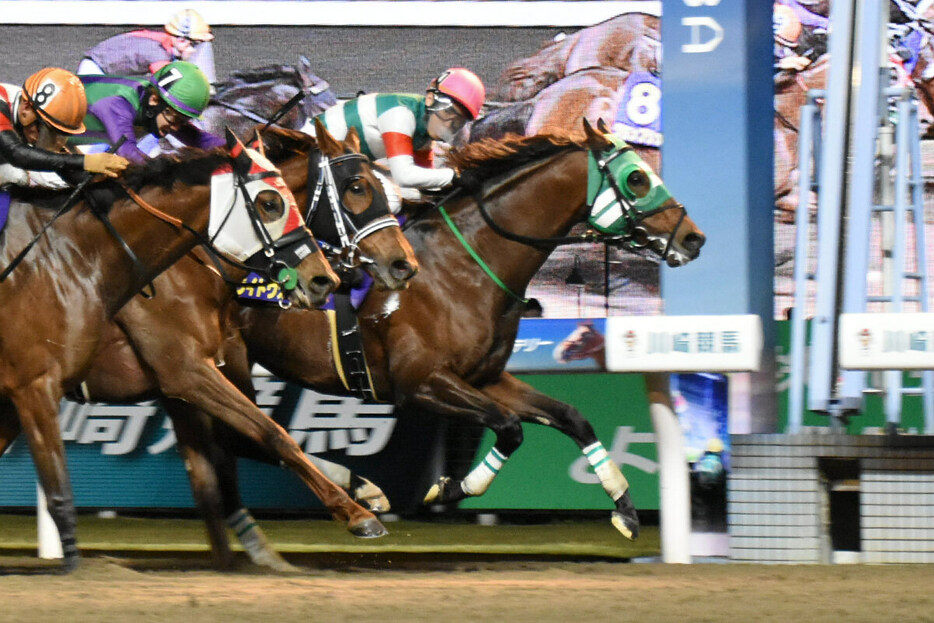 今年の川崎記念を制したライトウォーリア（ピンク帽）