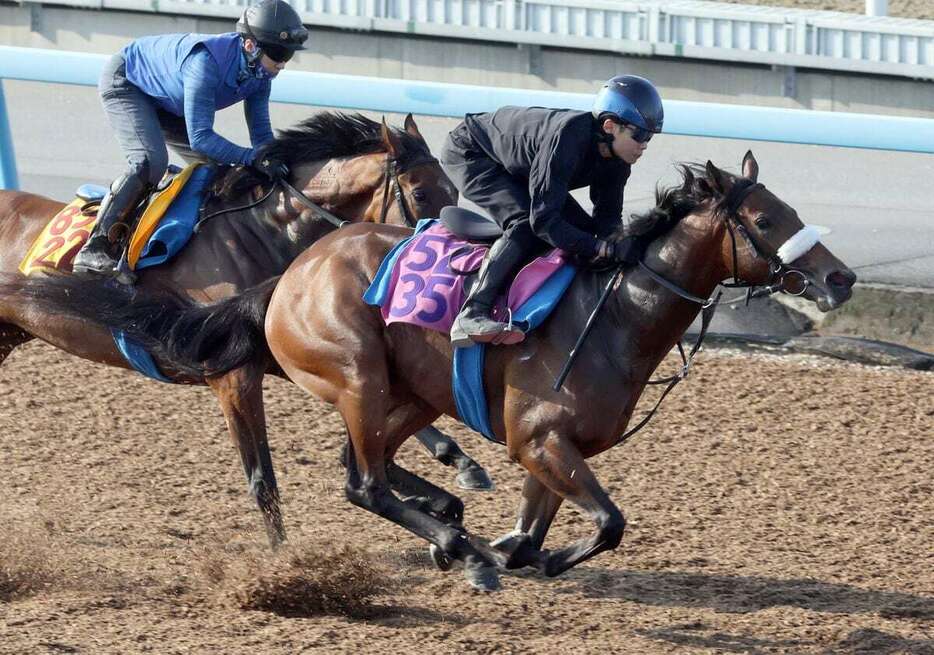 2日の調教で上々の動きを披露したサトノシャルレーヌ