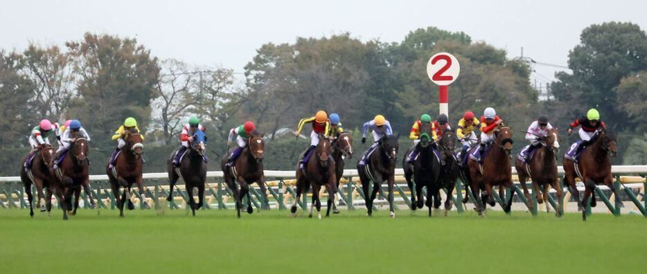 天皇賞・秋の最後の直線＝東京競馬場（撮影・塩浦孝明）