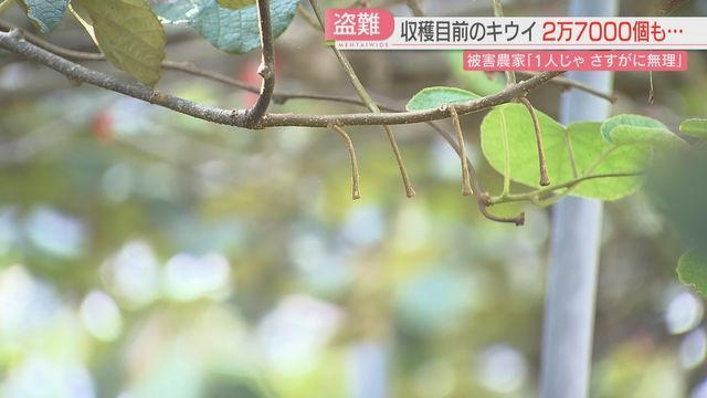 およそ2万7000個が被害