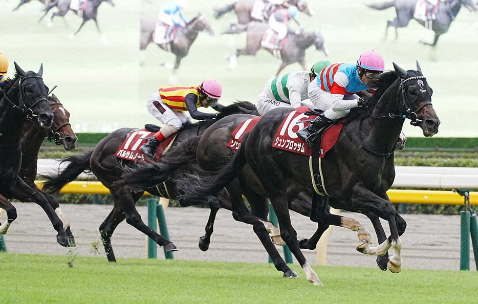 ＜東京11R富士S＞レースを制したジュンブロッサム（右）（撮影・郡司　修）