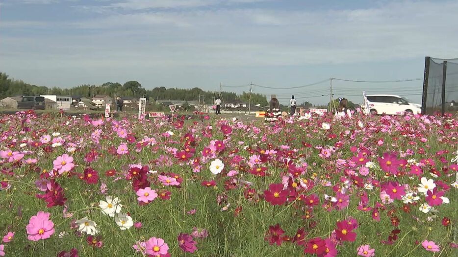 大分県中津市三光