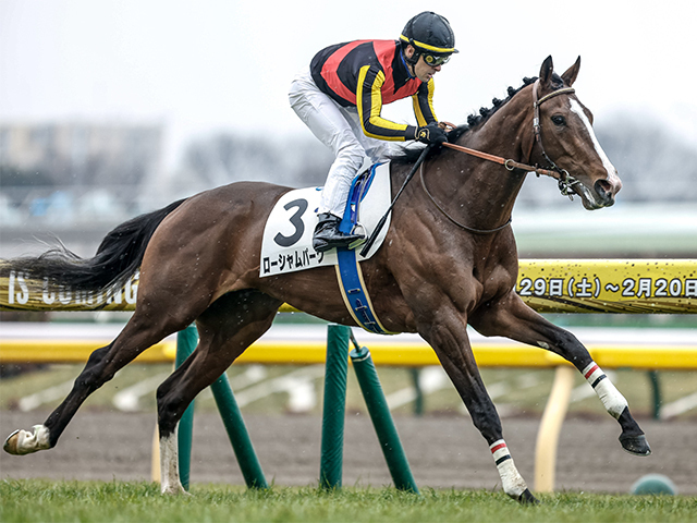 重賞3勝目を目指すローシャムパーク(撮影：下野雄規)