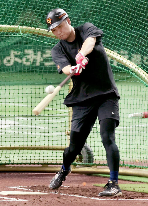 フリー打撃で打ち込む坂本勇人(カメラ・小林　泰斗)