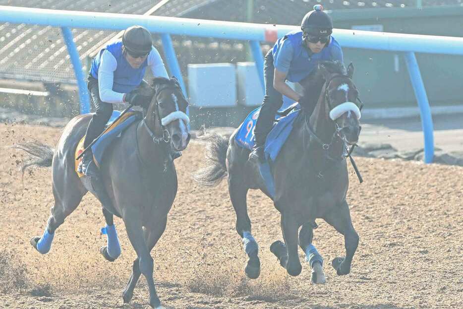 シックスペンス（右）は楽々と併入