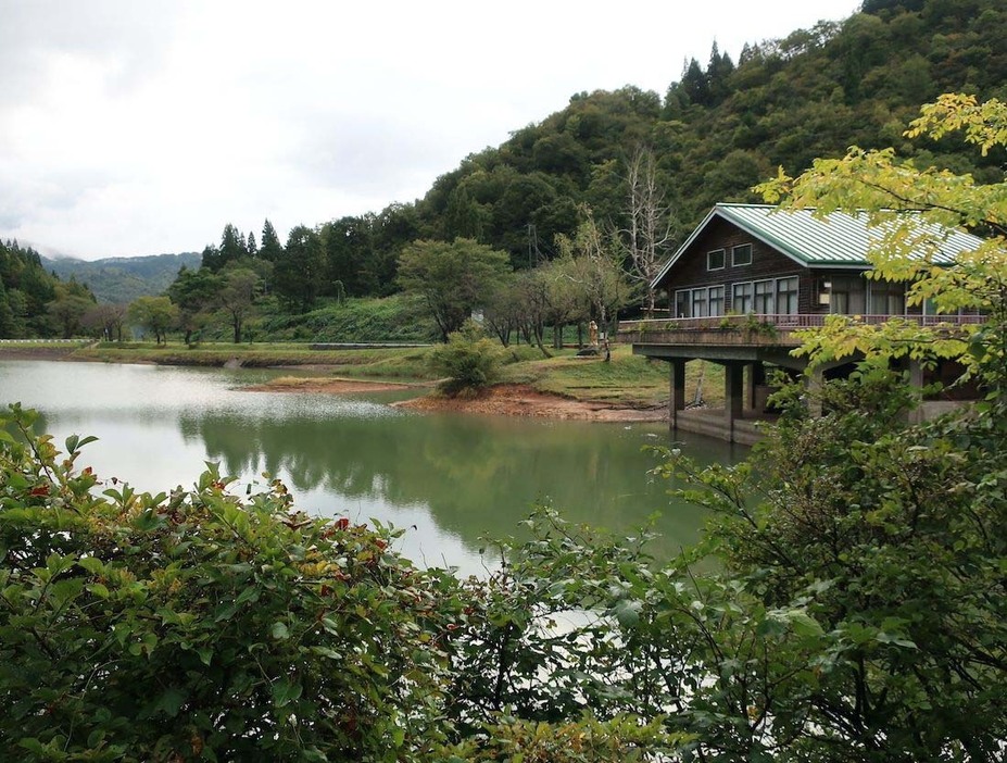 コーヒーを飲み終えて、鏡ヶ池の方へ歩いて向かった。