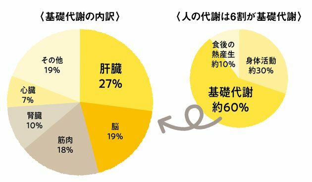 右・出典：厚生労働省e-ヘルスネット　左・出典：FAO/WHO/UNU 合同特別専門委員会報告