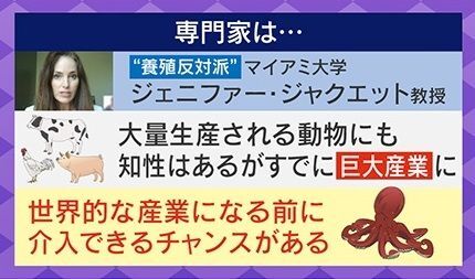 “養殖反対派”「世界産業になる前に介入できる」