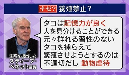 法案を提出したスティーブ・ベネット議員の発言