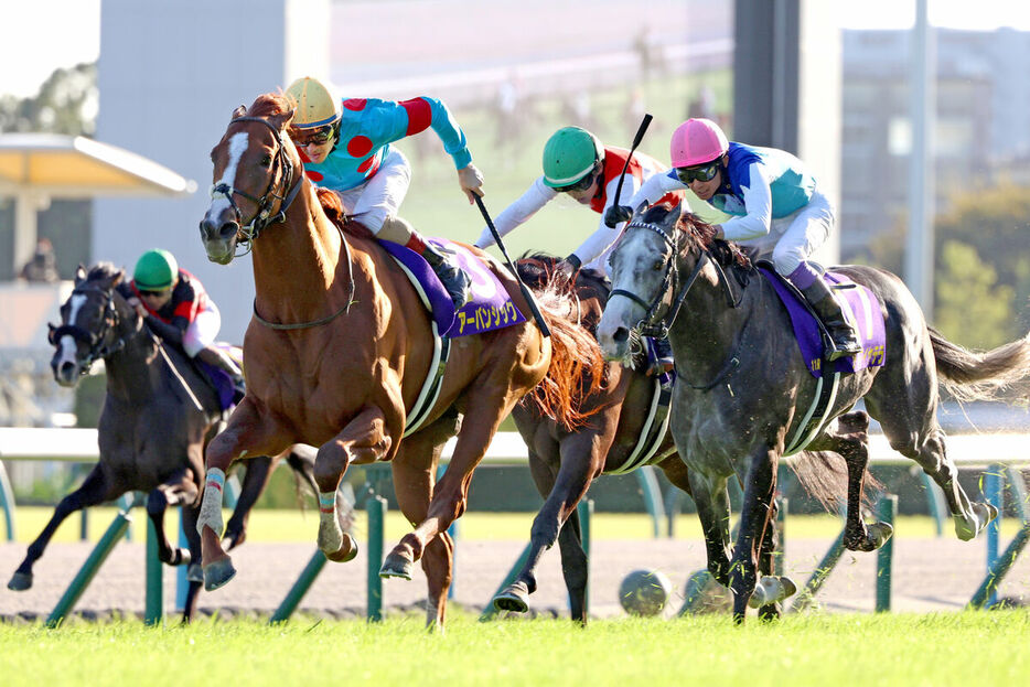 ３着に敗れた武豊騎手騎乗のアドマイヤテラ（右）（カメラ・高橋　由二）