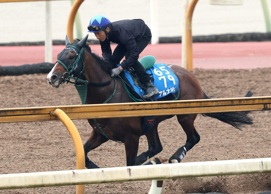 横山典騎手を背にCウッドを単走で追い切るアルナシーム（撮影・白石智彦）