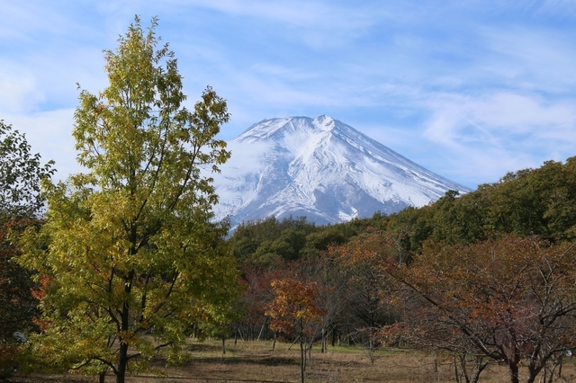 山梨県富士吉田市の富士散策公園からみた富士山。ハザードマップの資料編によれば、ここから南へおよそ500mの東富士富士五湖道路には、計算上では噴火後最短6分で火砕流が到達すると予測されている　photo by hidetosi