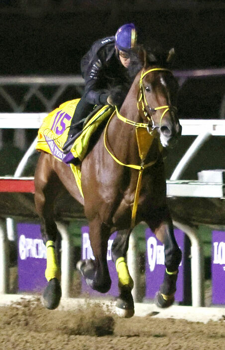 川田将雅騎手が騎乗し、ダートコースで活気ある動きを見せたウシュバテソーロ（カメラ・高橋　由二）