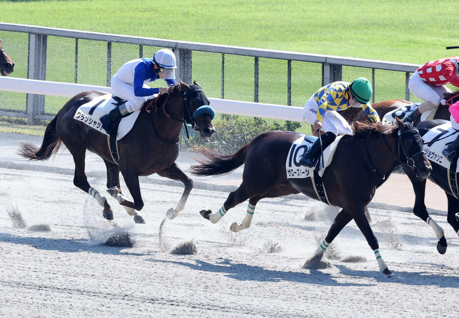 2歳未勝利戦に臨むグランシャット（左）とザローズハーツ（撮影・鈴木正人）