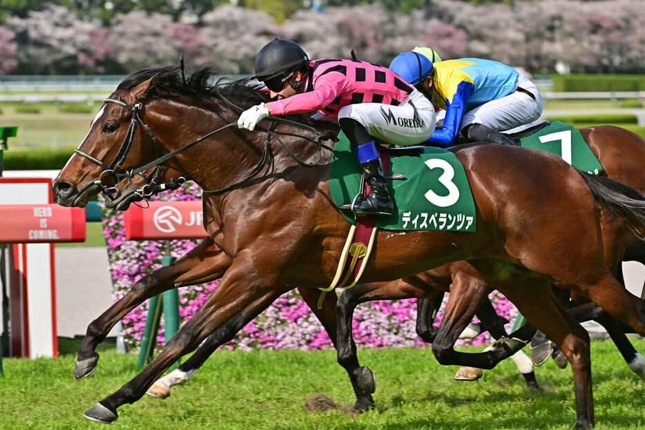 今年のアーリントンＣ勝ち馬ディスペランツァ