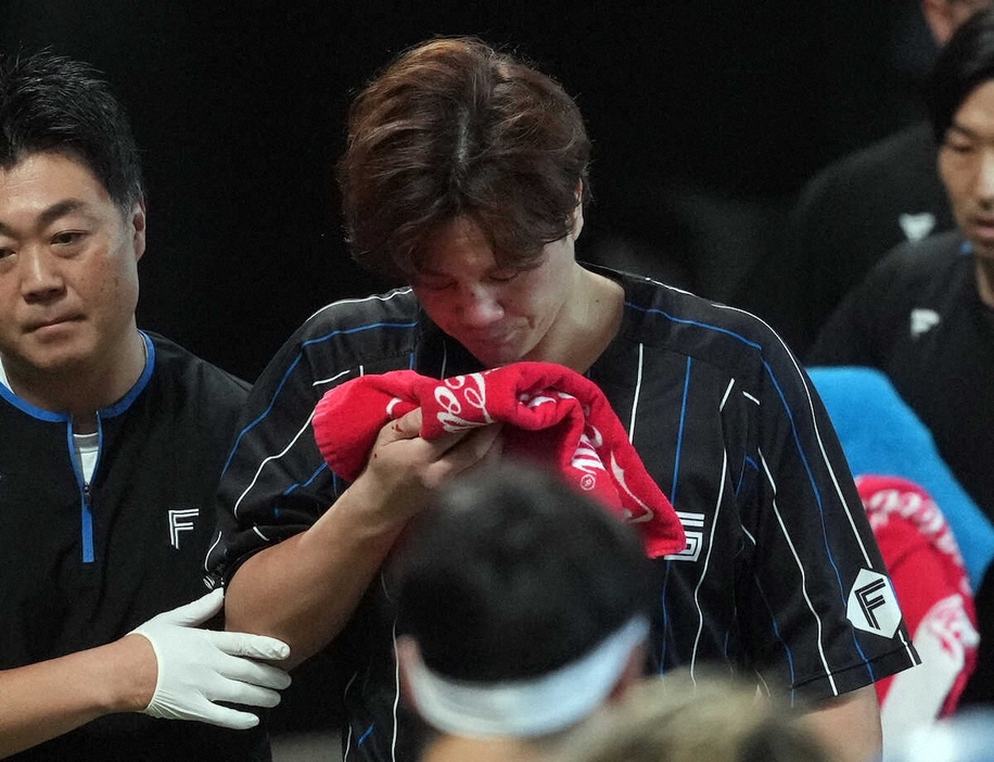 ＜日・ロ＞試合前練習中に負傷し治療のためベンチに下がる日本ハム・伏見（撮影・高橋　茂夫）