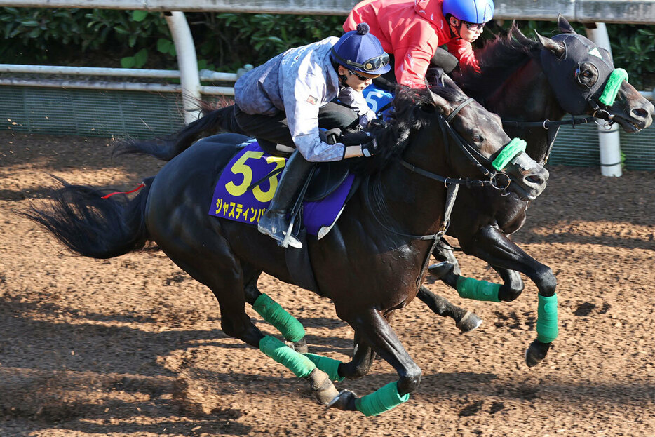 坂路追いを選択したジャスティンパレス（手前）