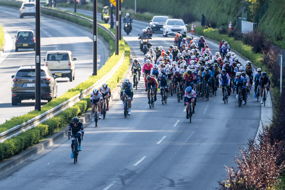 写真：Bicycle Club