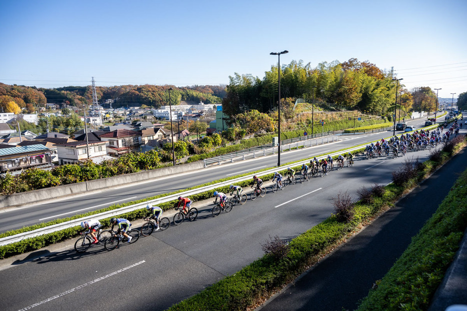 写真：Bicycle Club